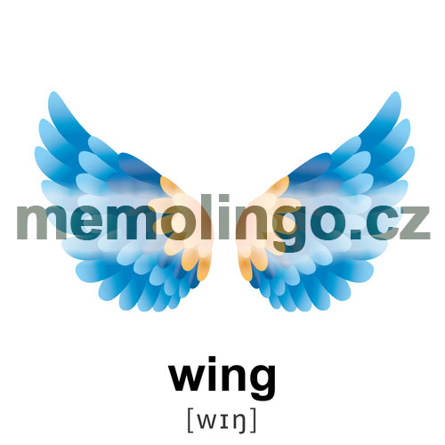 wing