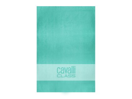 CAVALLI CLASS WOMEN GREEN BEACH TOWEL