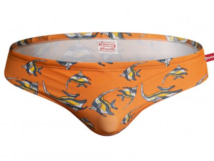 slipove plavky aussiebum cockatoo angel fish orange2