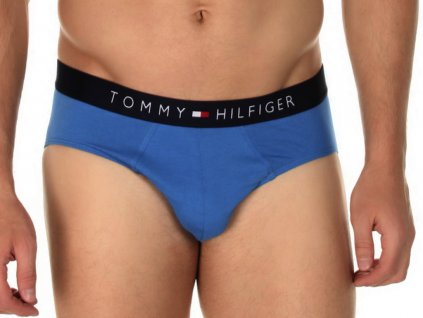 slipy tommy hilfiger 1u87904669 418 icon daphne3