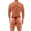 panska tanga savage string anais2