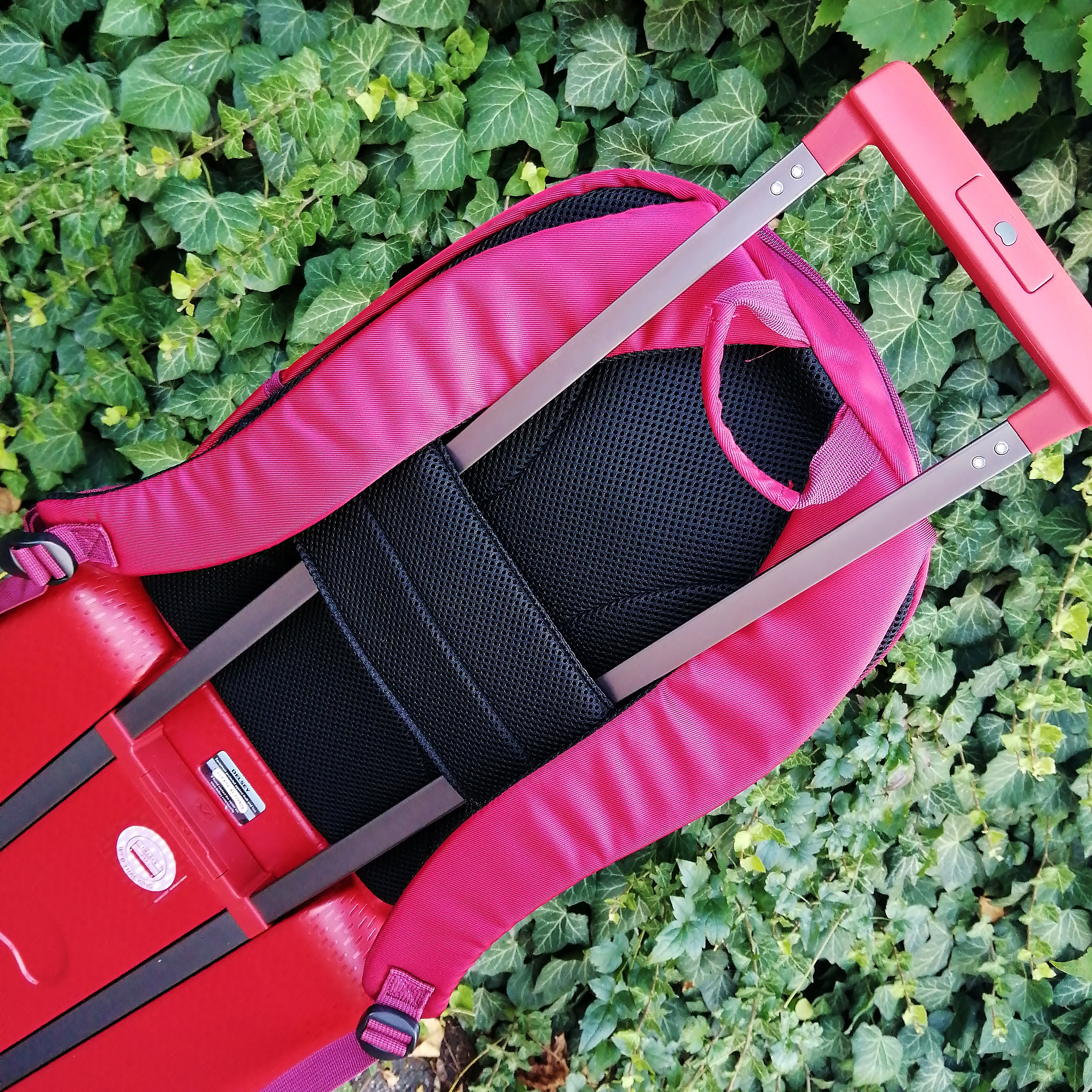 10 důvodů, proč milujeme značku Delsey! #7