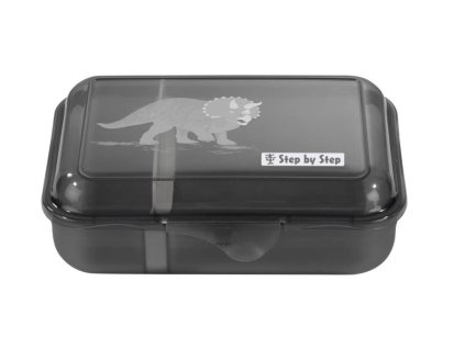box na svacinu step by step 129624 dino tres 01