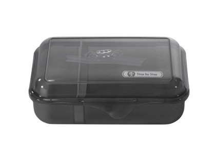 box na svacinu step by step 183840 jumping spider 01