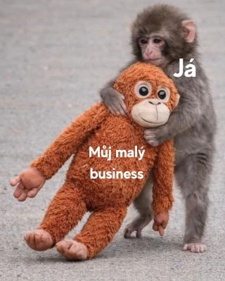 🫶🥰 #business #sperky #podnikani #eshop #nausnice