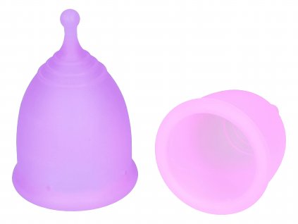 bílá