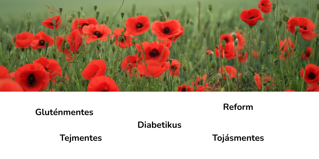mentes24.hu fő banner