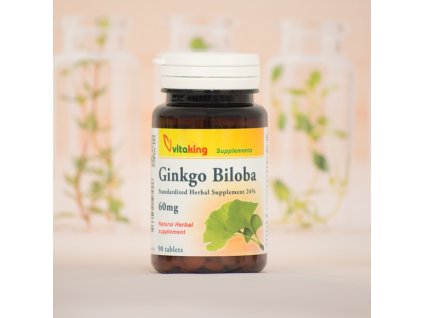 Vitaking - Ginkgo Biloba 60 mg 90 db kapszula