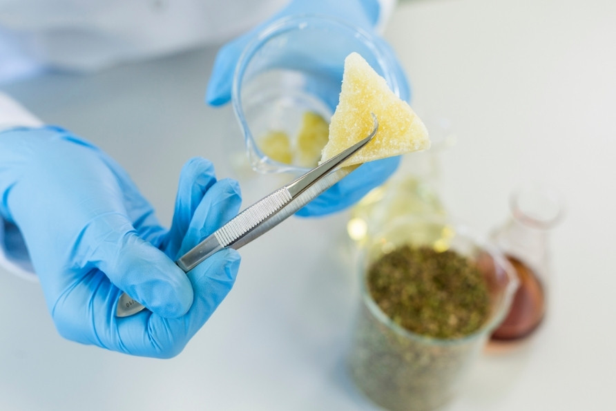 Terpeny: jaký mají vliv na naše zdraví?