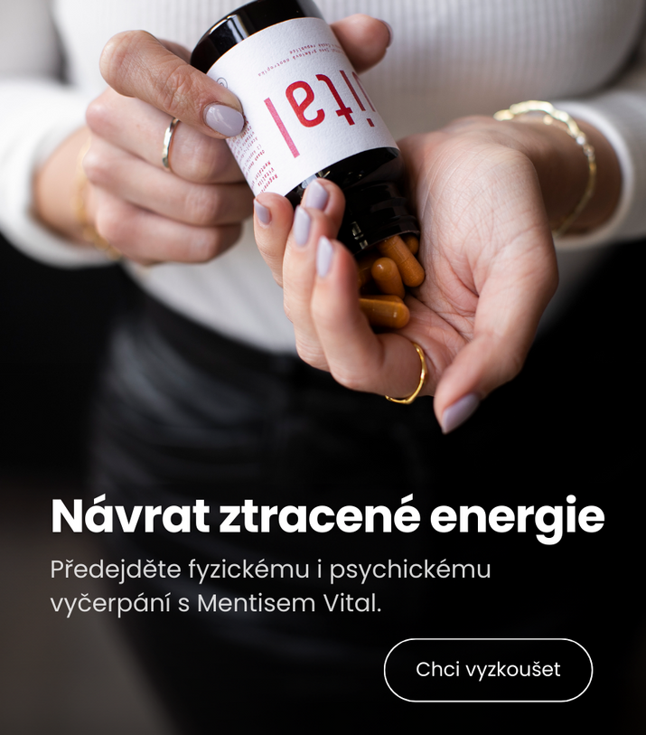Mentis Vital