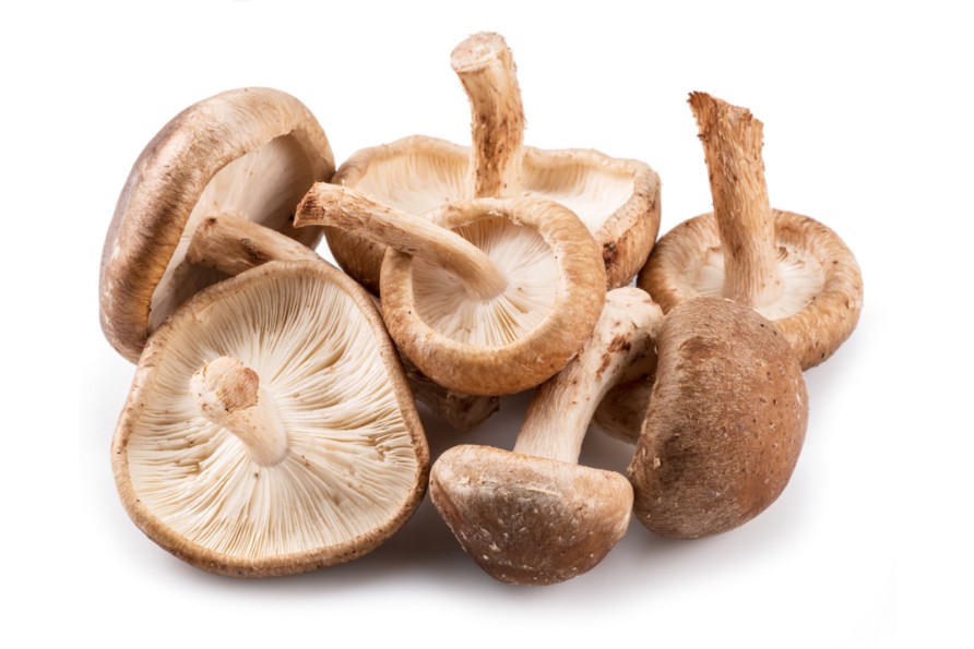 účinkyshiitake