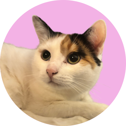 Akiko