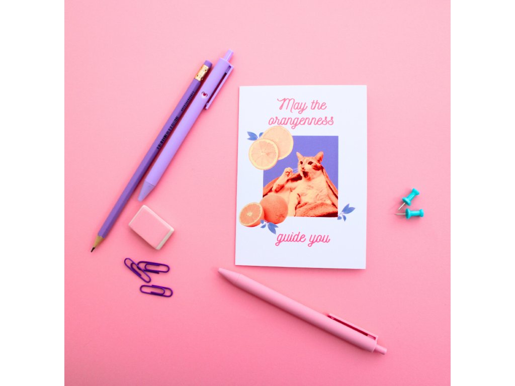 Kočičí přání - Orange guide