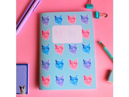 Sešit - Kimchi (Madness)