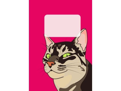 Kira full art