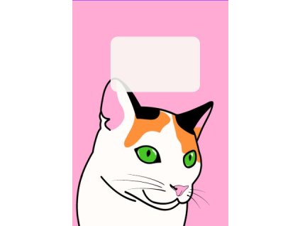 Akiko full art