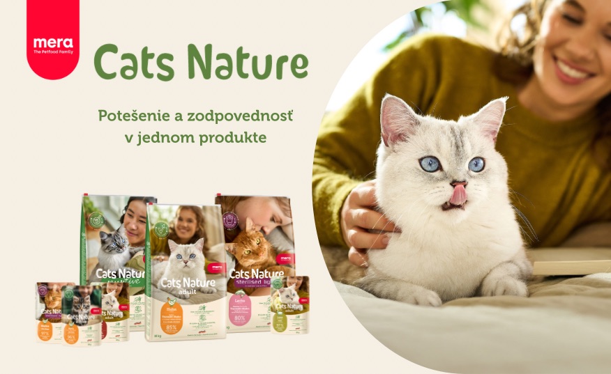 Skutočné tímy – ako vy a vaša mačka