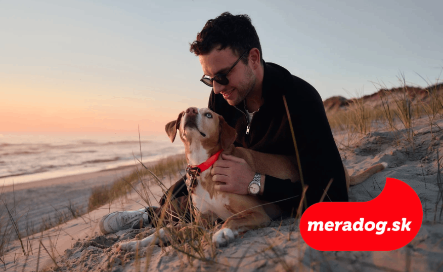 Dovolenka so psom pri mori a jazerách: Čo by ste mali vedieť