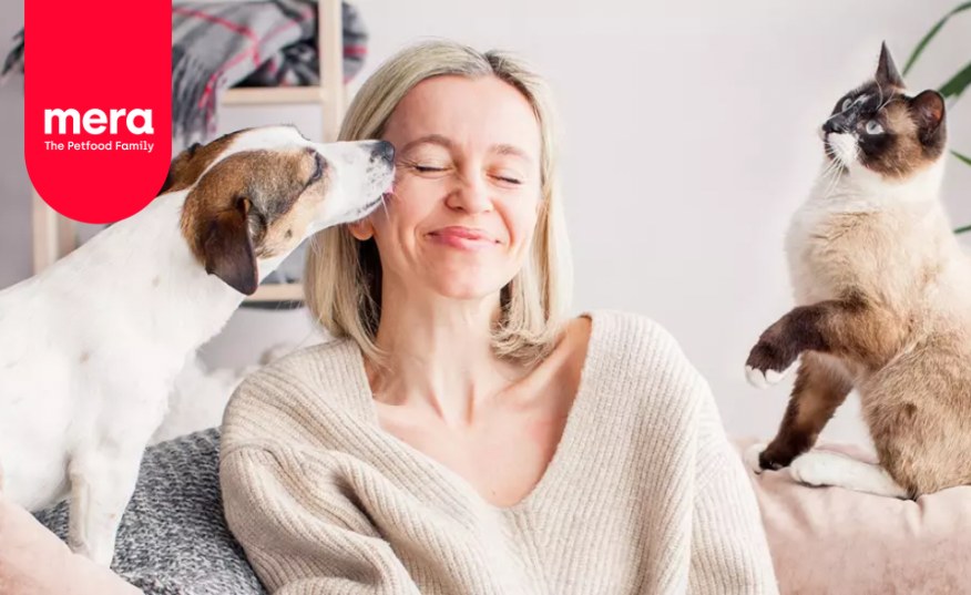 FAQ - Vaše otázky. Naše odpovede.