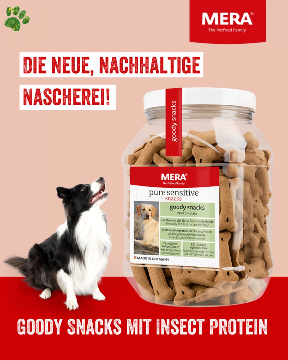 Nové maškrty Goody Snacks