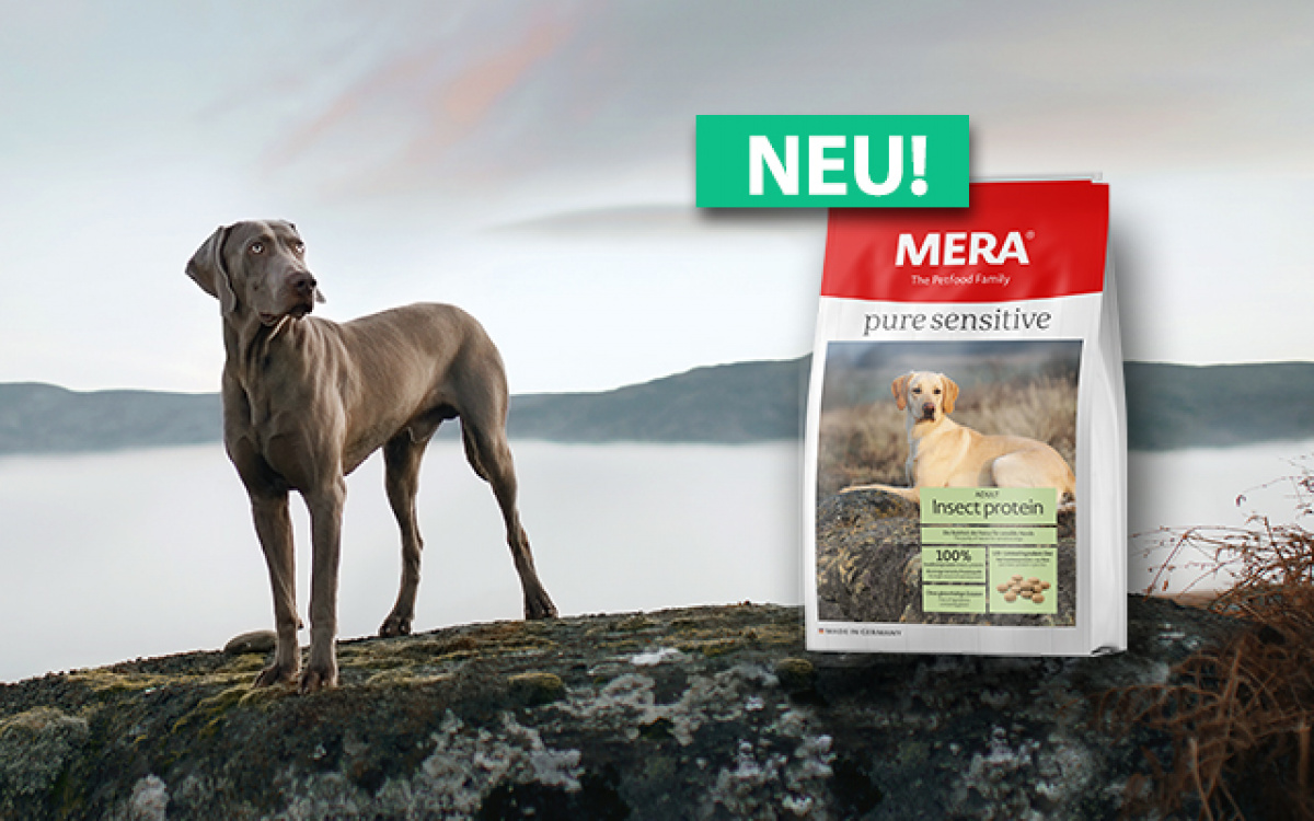 Krmivo pre psov - Pure Sensitive Insect Protein