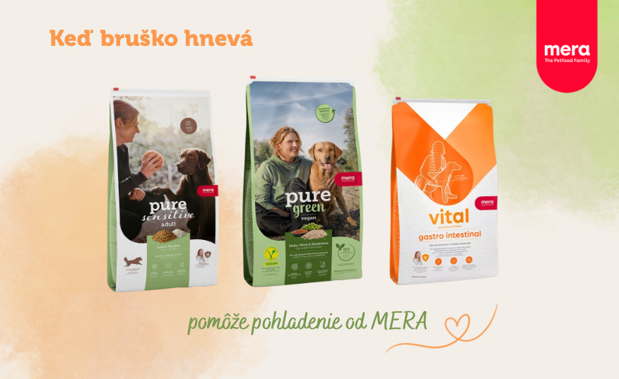 Tráviace problémy a potravinové alergie u psov: Na čo si dať pozor a čo naozaj pomáha