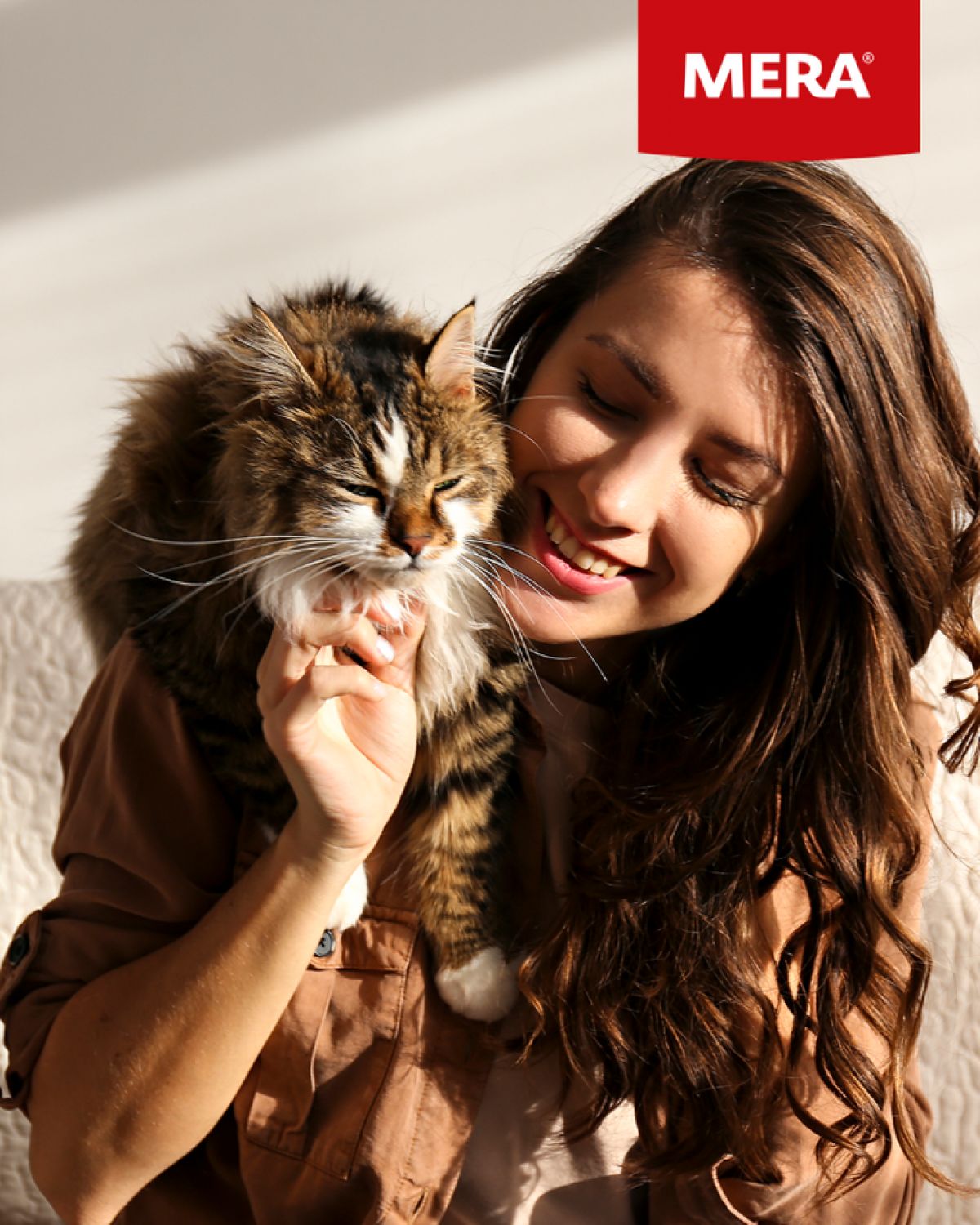 Ochorenie močových ciest u mačiek