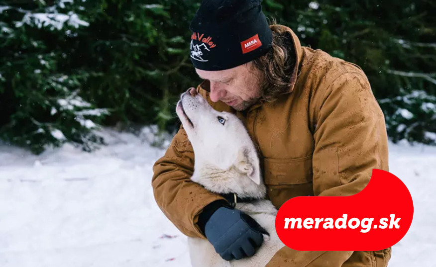 Starostlivosť o psa v zime: Komplexný sprievodca pre zdravie a pohodu