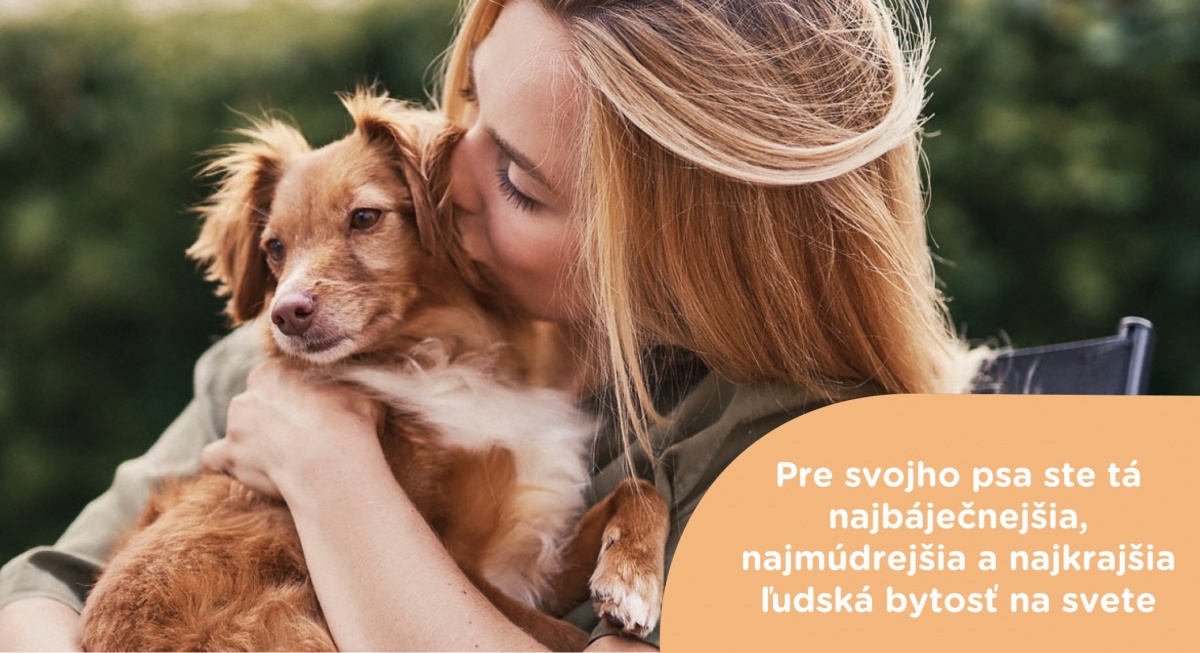 6 znamení, že vás váš pes miluje