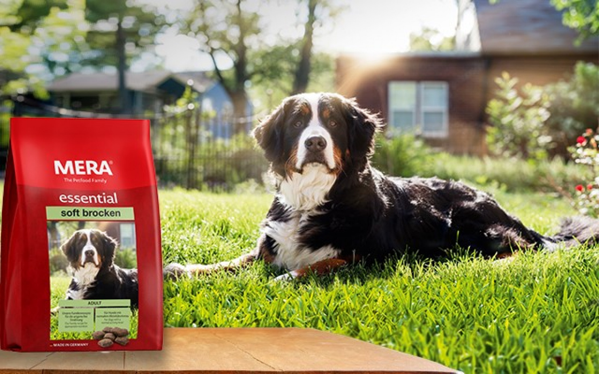 Krmivo pre psov - Essential Soft Brocken