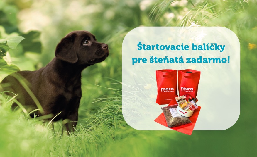 Šťastná cesta do nového domova: Podporte svoje vrhy so štartovacími balíčkami Mera
