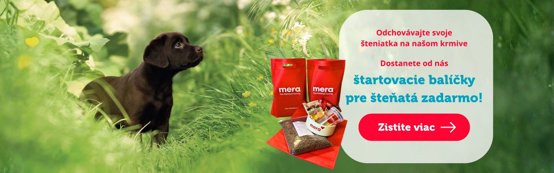 Štartovacie balíčky pre šteňatá zadarmo