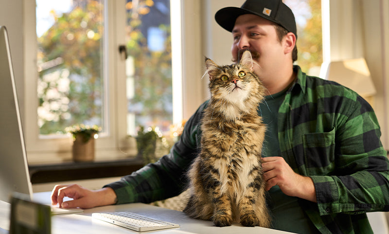 cats_nature_opravdove_pribehy_senior