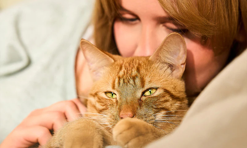 skutočný tím - Uta a Pumpkin