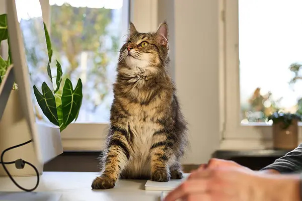 Skutočné príbehy - Daniel a Karl