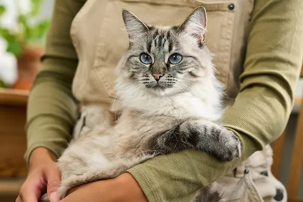 Skutočné príbehy - Mela a Mila