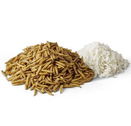 Mera Pure Sensitive Insect Protein - ingrediencie 