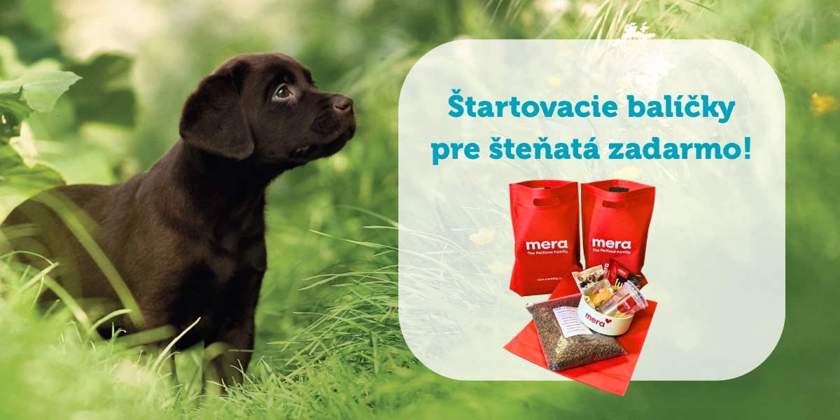 Štartovacie balíčky pre šteňatá zadarmo