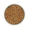 mera vital insect pro granule s hmyzím proteínomv miske