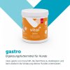 mera shop vital plus ergaenzungsfutter gastro3[1]
