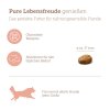 mera pure sensitive product images 2024 lachs und reis trockenfutter2 5[1]
