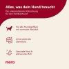 mera shop hundefutter essential rind trockenfutter2[1]