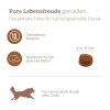 mera pure sensitive product images 2024 rind und kartoffel trockenfutter2[1]