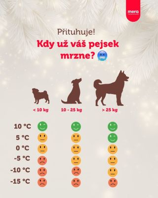 🐾😁 Máte doma spíš choulostína, který nevyjde ven ani v +5, nebo otužilce, na kterého naše tabulky fakt neplatí? 🥶 🌡️...