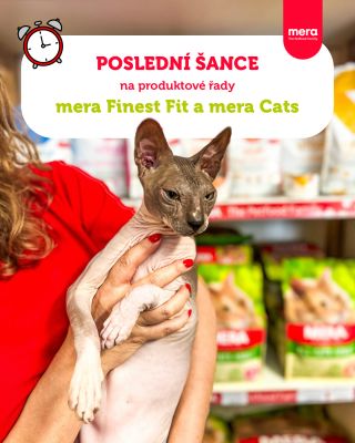 Máte doma věrného fanouška MERA Finest Fit nebo MERA Cats? 🐱 Přicházíme s důležitým oznámením pro všechny majitele...