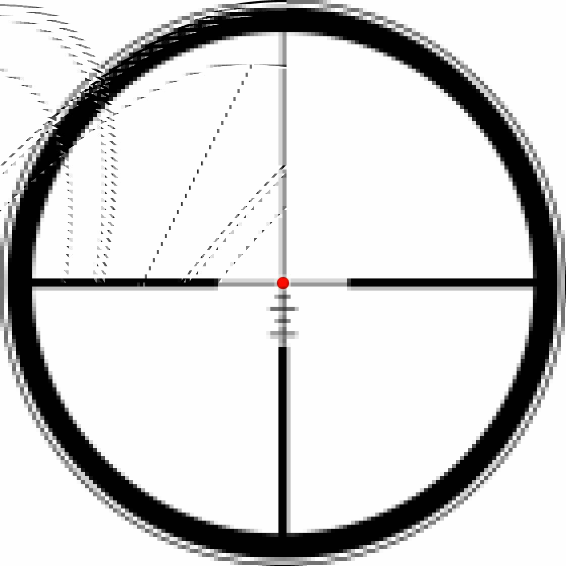 Leica Magnus 2.4-16x56 i s BDC vežičkou a šínou Varianta: L Balistic