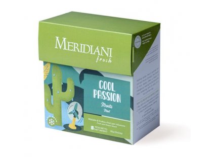 Ledový čaj - Cold Brew - Cool Passion (Máta) 30 g