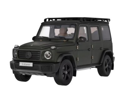 G-Class, PROFESSIONAL Line, W465, oliv magno