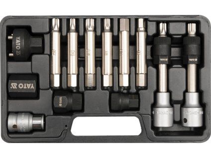 YT 0421