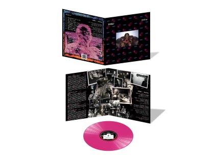 Dunaj - Dudlay (1993 - reedice 2022) - Remasterováno - LP (limitovaná edice) - (3D-vizualizace - MAGENTA)